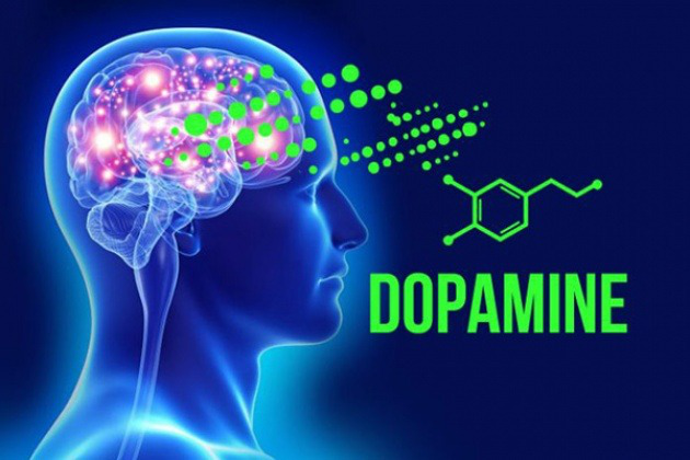 Hormone hạnh phúc là gì? 4 hormone hạnh phúc tăng cường chất lượng cuộc sống mỗi ngày